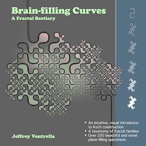 Brainfilling Curves