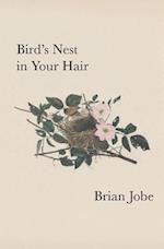 Birds Nest in Your Hair