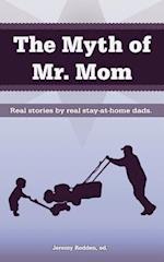 The Myth of Mr. Mom