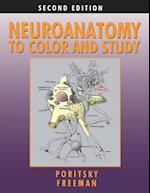 Neuroanatomy to Color and Study