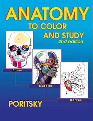 Anatomy to Color and Study 2nd Edition