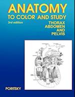 Anatomy to Color and Study Thorax Third Edition