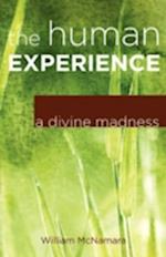 The Human Experience: A Divine Madness 