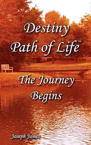 Destiny Path of Life - The Journey Begins