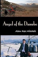 Angel of the Danube