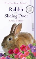 Rabbit at the Sliding Door