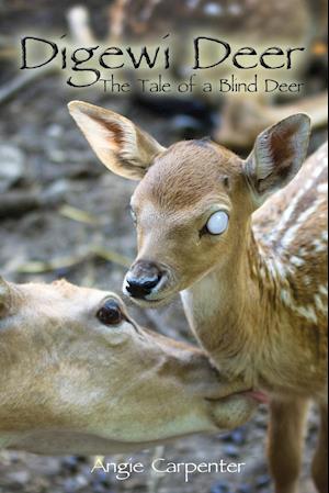 Digewi Deer the Tale of a Blind Deer