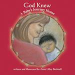 God Knew -- A Baby's Journey Home