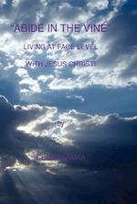 Abide in the Vine Living at Face Level with Jesus Christ