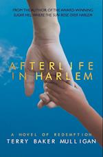 Afterlife in Harlem