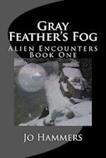 Gray Feather's Fog