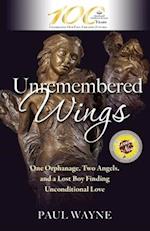 Unremembered Wings
