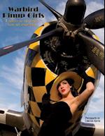 Warbird Pinup Girls: A Tribute to the 1940's Nose Art Pinup Girls 