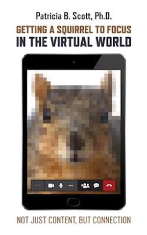 Getting a Squirrel to Focus in the Virtual World