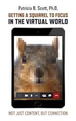 Getting a Squirrel to Focus in the Virtual World