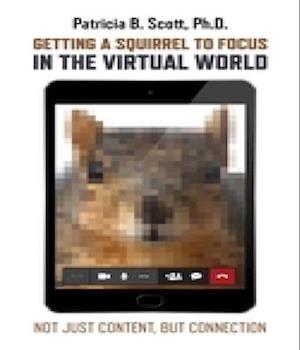 Getting a Squirrel to Focus in the Virtual World