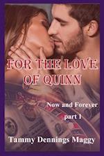 For the Love of Quinn (Now and Forever Part 1)