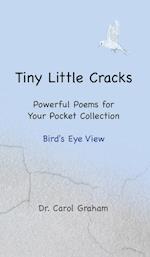 Tiny Little Cracks 