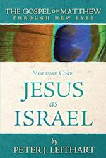 The Gospel of Matthew Through New Eyes Volume One: Jesus as Israel 