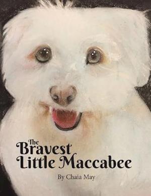 The Bravest Little Maccabee