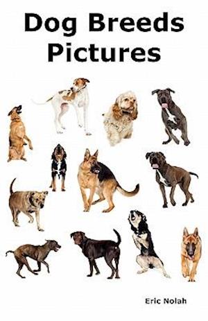 Dog Breeds Pictures: Over 100 Breeds Including Chihuahua, Pug, Bulldog, German Shepherd, Maltese, Beagle, Rottweiler, Dachshund, Golden Retriever, Pom