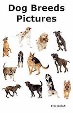 Dog Breeds Pictures: Over 100 Breeds Including Chihuahua, Pug, Bulldog, German Shepherd, Maltese, Beagle, Rottweiler, Dachshund, Golden Retriever, Pom