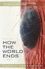 How the World Ends (Book One)