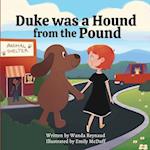 Duke was a hound from the pound 