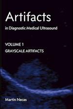 Artifacts in Diagnostic Medical Ultrasound