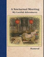 Nocturnal Meeting: My Lustful Adventures