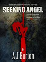 Seeking Angel