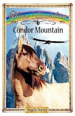 Condor Mountain