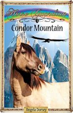 Condor Mountain