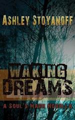 Waking Dreams