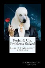 Pudel & Cie. Problems Solved