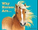 Why Horses Are