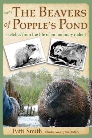 Beavers of Popple's Pond