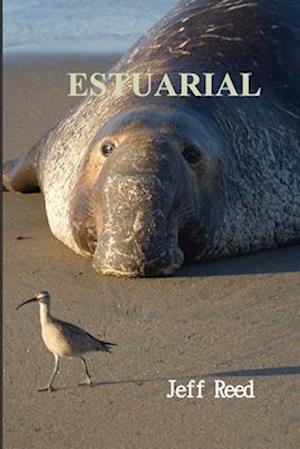 Estuarial