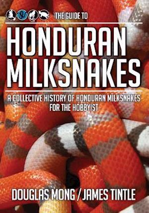 The Guide to Honduran Milksnakes
