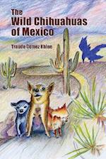 The Wild Chihuahuas of Mexico