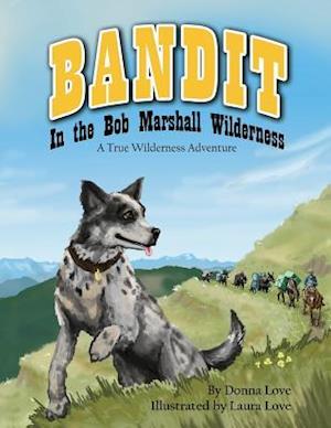 Bandit in the Bob Marshall Wilderness