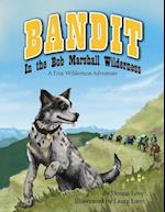 Bandit in the Bob Marshall Wilderness