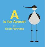 A is for Avocet