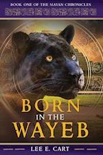 Born in the Wayeb: Book One 