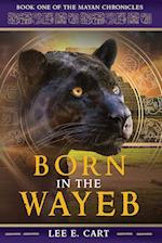 Born in the Wayeb: Book One 