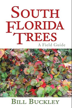 South Florida Trees