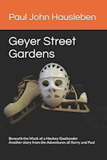 Geyer Street Gardens: Beneath the Mask of a Hockey Goaltender. Another story from the Adventures of Harry and Paul 