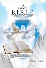 Small B.I.B.L.E. of Biblical Acronyms
