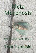 Meta Morphosis: Wet Sidewalks Two 