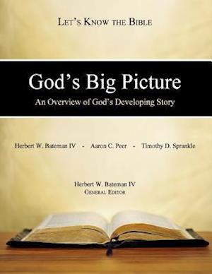 God's Big Picture